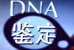 楚雄亲子鉴定机构在哪里，楚雄亲子鉴定机构费用